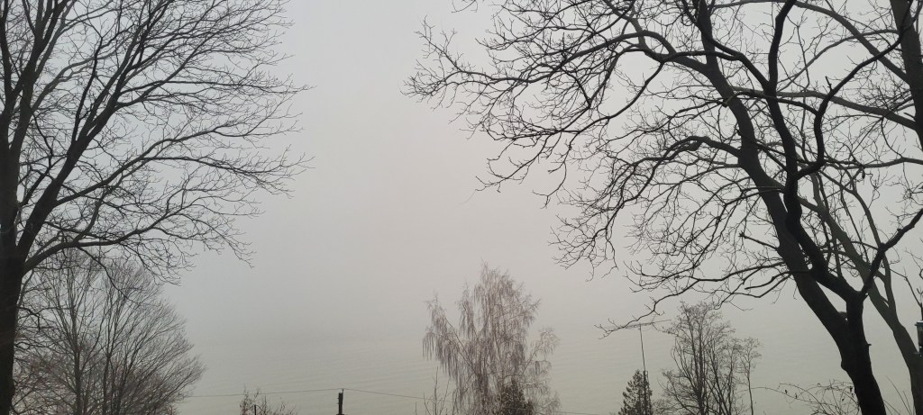 Adaptation after life-altering&nbsp;events