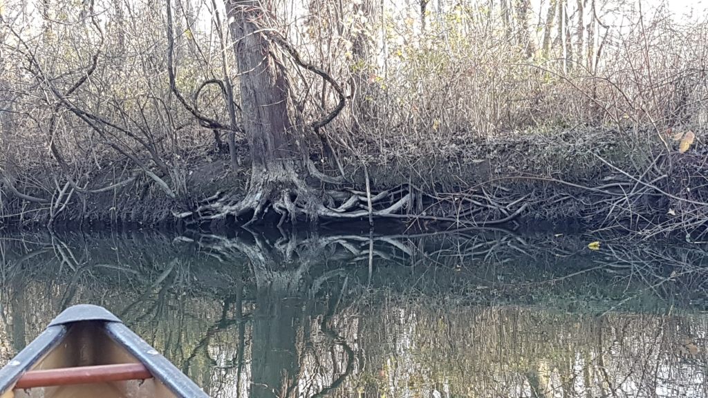 Toughness – something to strive&nbsp;for