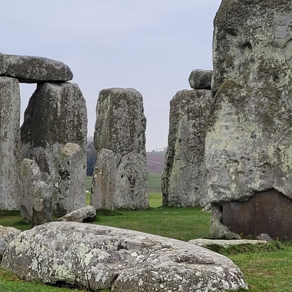 Anatomy of Writing a Debut&nbsp;Novel