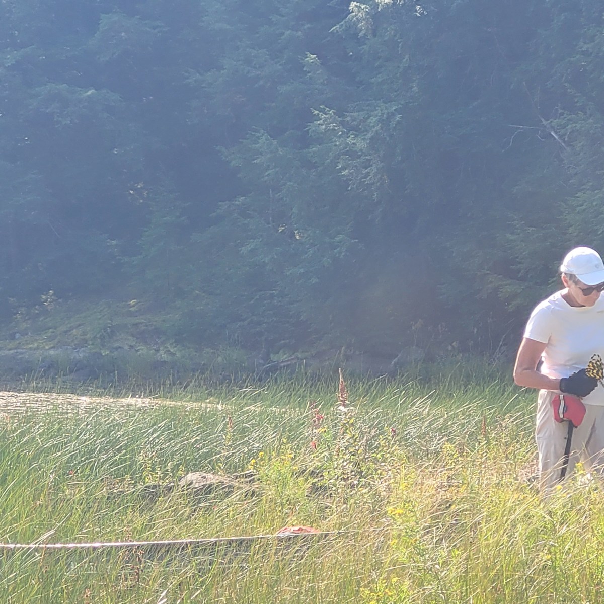 Nature has a purpose for&nbsp;everything