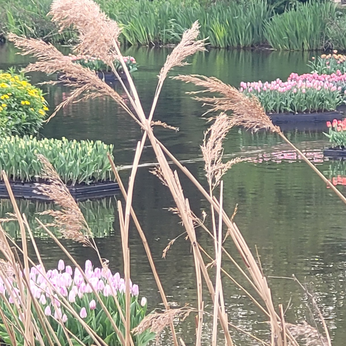 The Undiscovered Country 