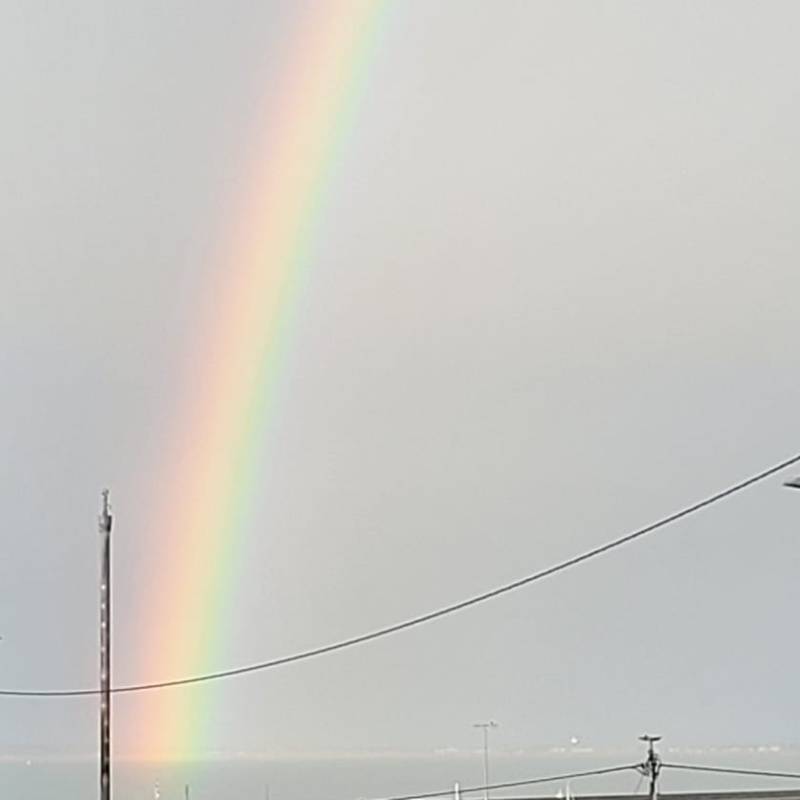 How I became a bleeding&nbsp;heart